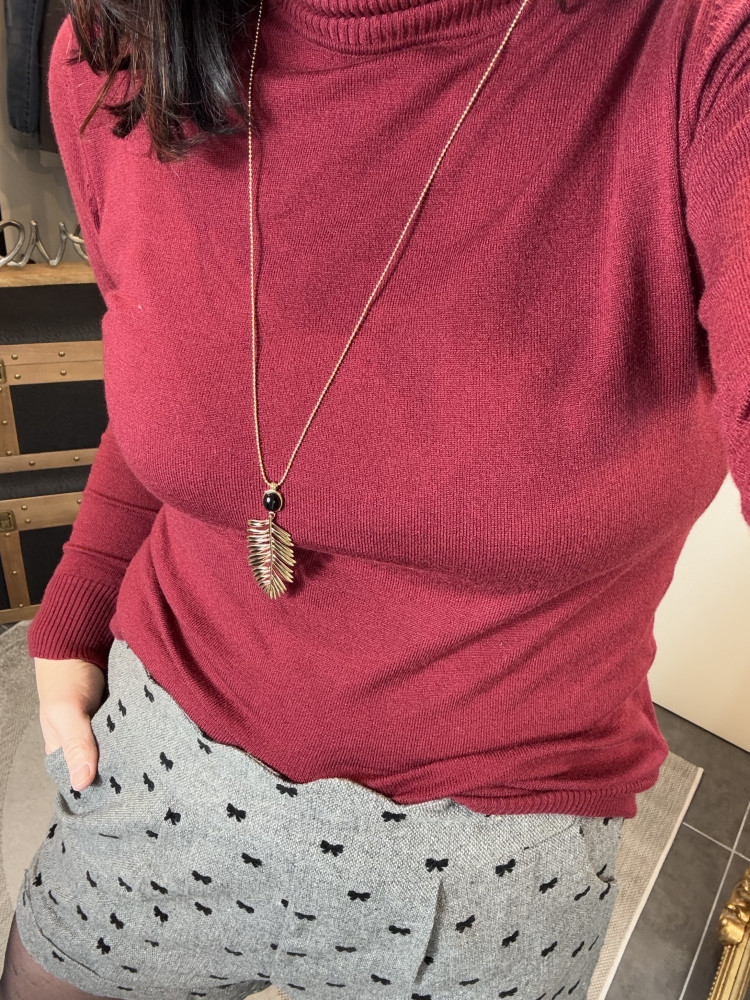 Pull col roulé Bordeaux :) 