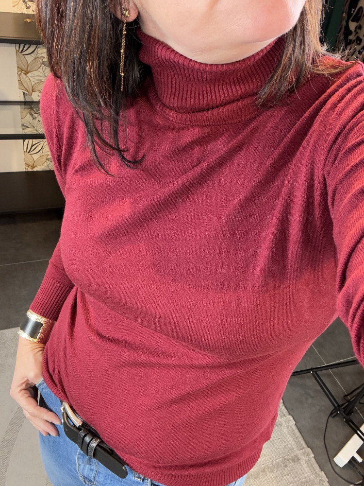 Pull col roulé Bordeaux :) 
