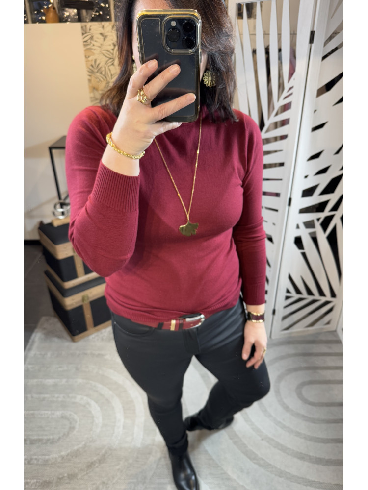 Pull col roulé Bordeaux :) 