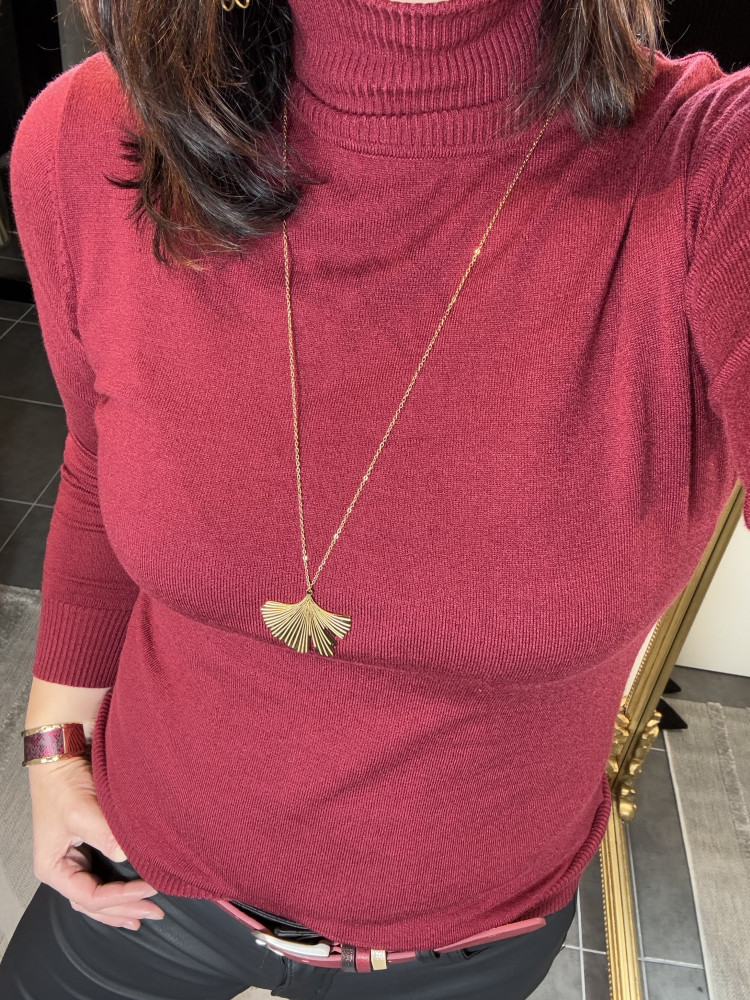 Pull col roulé Bordeaux :) 