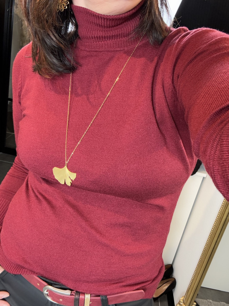 Pull col roulé Bordeaux :) 