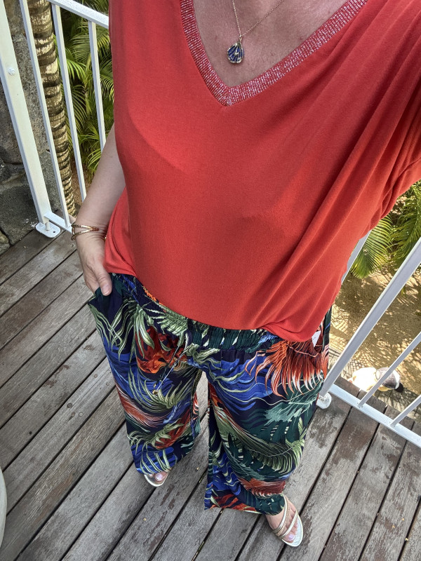 Monstera Rouge et Bleu :) 